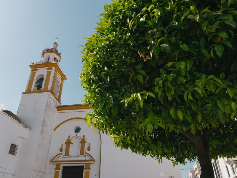 La Puebla de Cazalla-Iglesia Convento de Nuestra Señora de la Candelaria