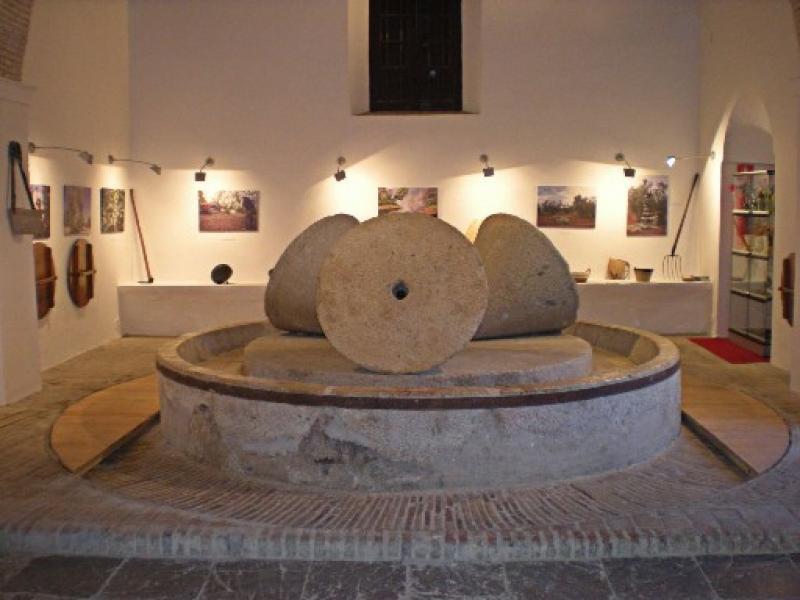 Museo del Aceite 