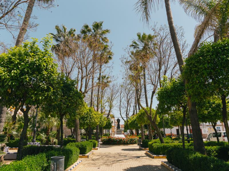 Paradas. Plaza y jardines de Gregorio Marañón, llenos de palmeras