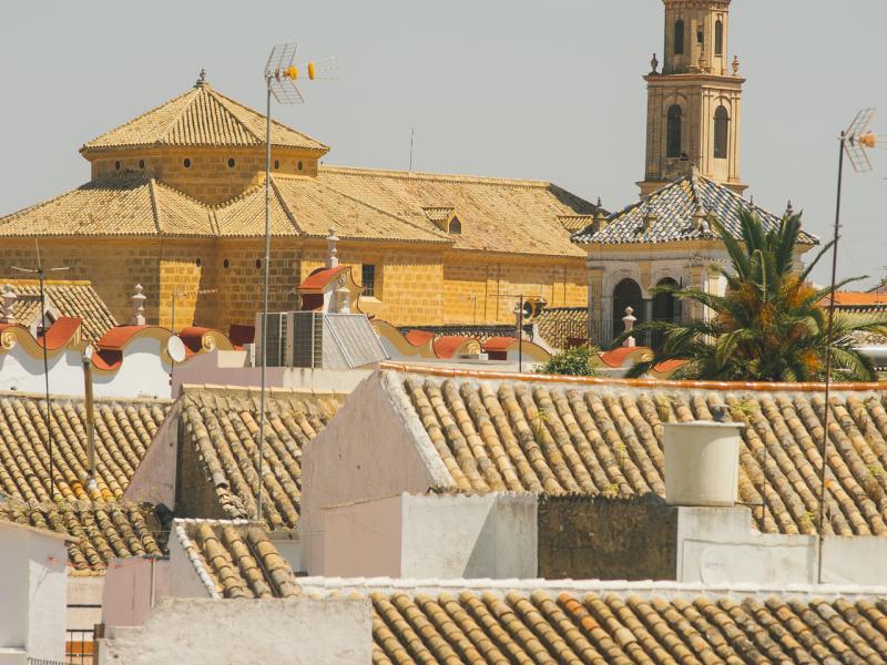 Osuna-Casas de Osuna con el Convento de la Victoria de fondo