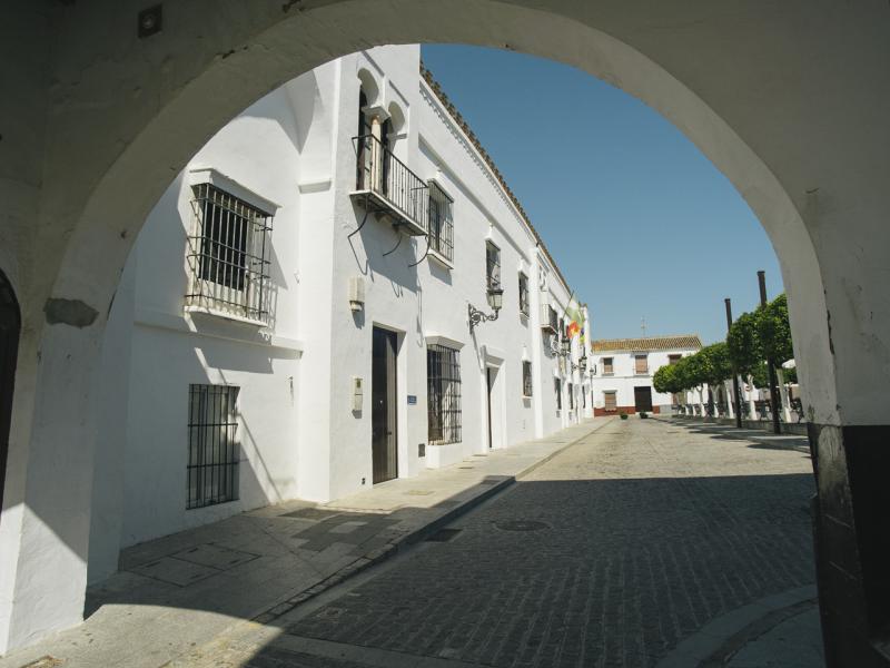 Olivares. Fachada vista desde un lateral del Palacio del Conde-Duque de Olivares