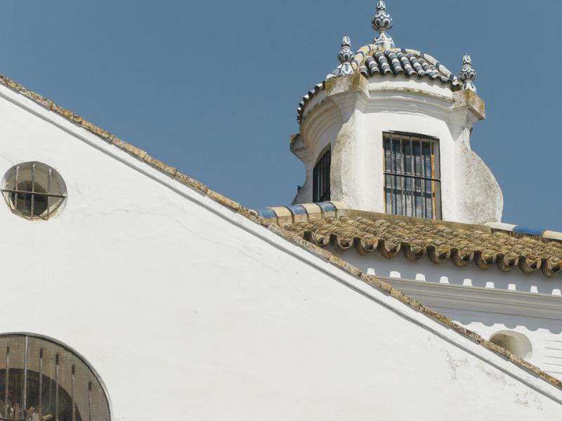 Olivares. Vista parcial de la fachada y torre de la Colegiata de Santa María de las Nieves