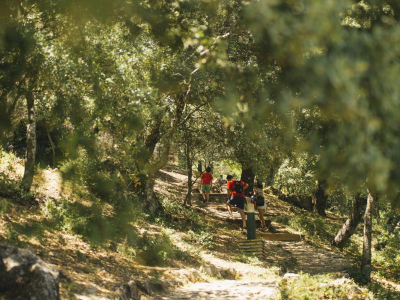 Algámitas-Personas haciendo senderismo por el entorno natural de la Sierra Sur