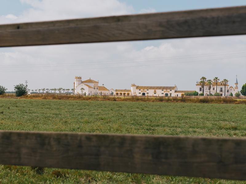 Isla Mayor-Vista general del cortijo andaluz en el Poblado Isla Mínima