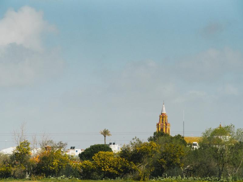 Los Palacios y Villafranca. Vista panorámica