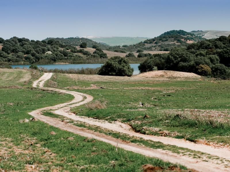 Reserva Natural Complejo Endorreico de Lebrija-Las Cabezas