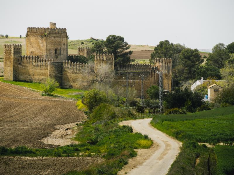 Vista completa del castillo y camino de acceso