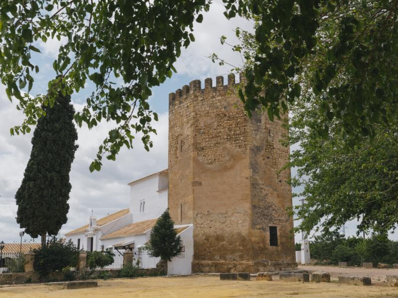 Torreón mudéjar coronado con almenas, ermita de villadiego visto desde fuera y árboles