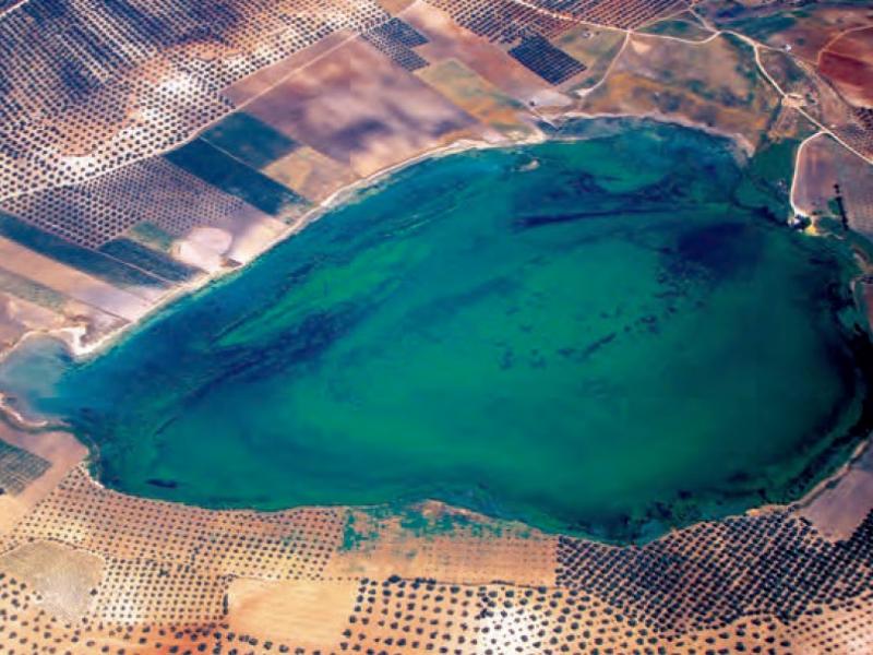 Reserva Natural Laguna del Gosque
