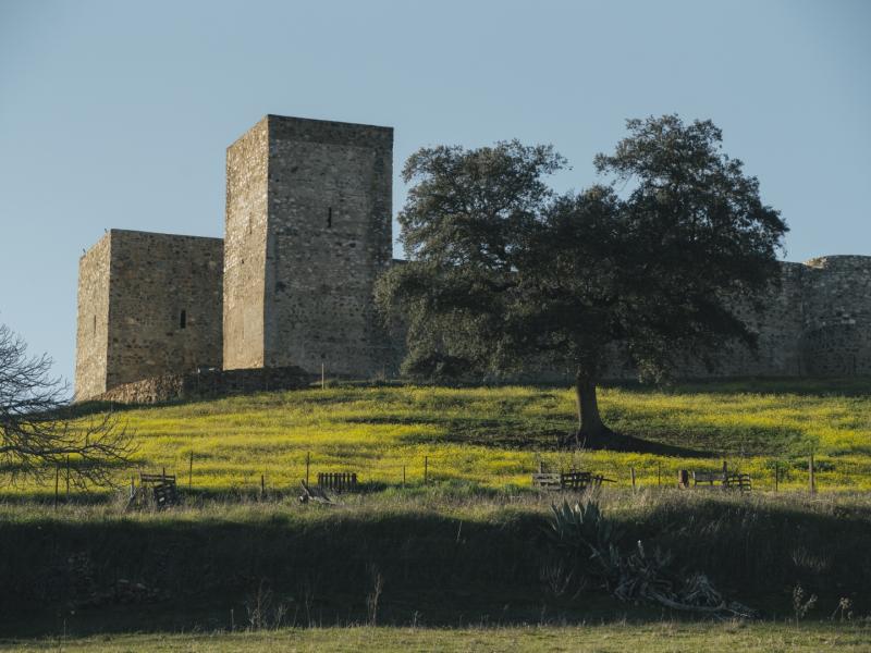 Parte de la muralla de piedra y dos torres