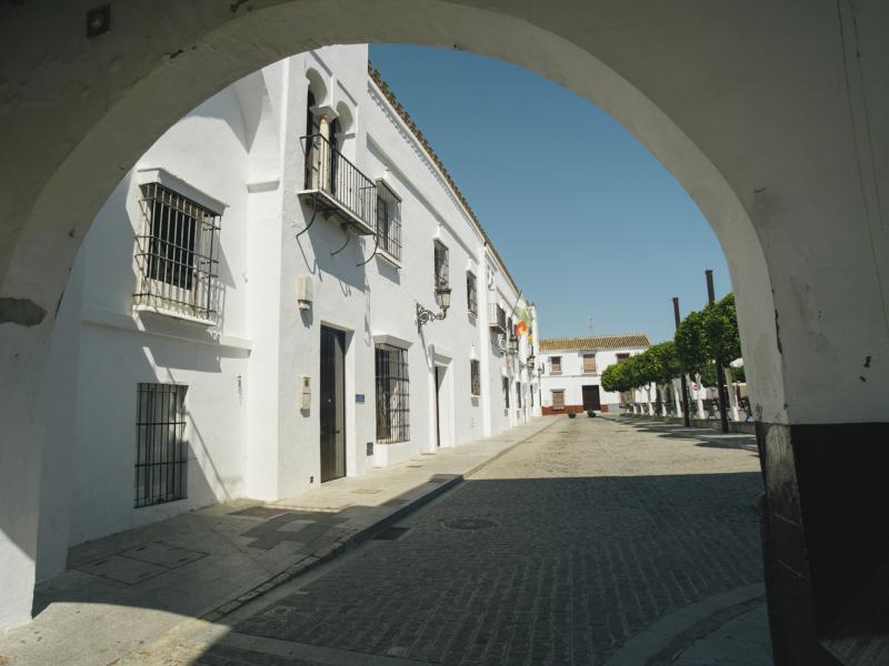 Olivares. Arco