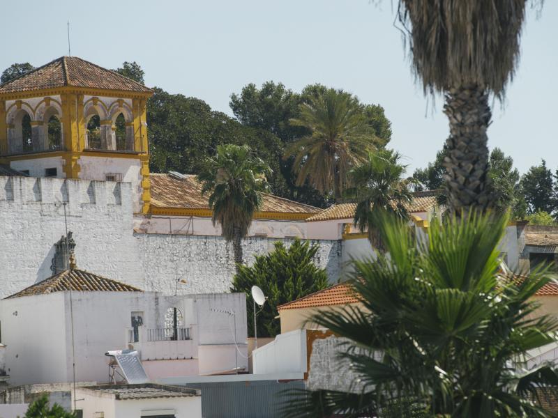 Castilleja de Guzmán. Palacio de los Guzmanes y casas