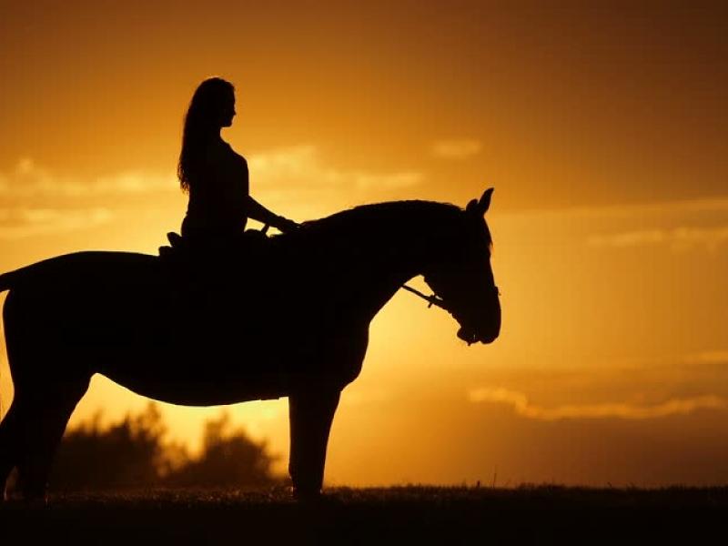 Persona montada a caballo en la puesta de sol (Contraluz)