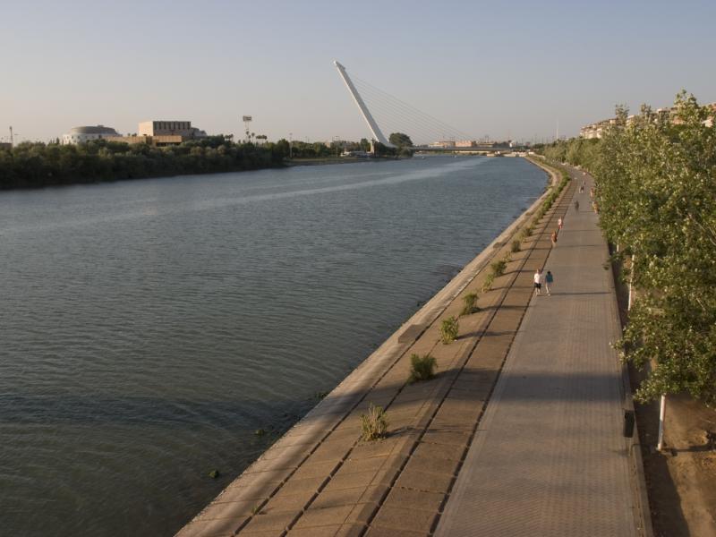 Imagen del puente del alamillo al fondo del río guadalquivir y el paseo que va junto a él