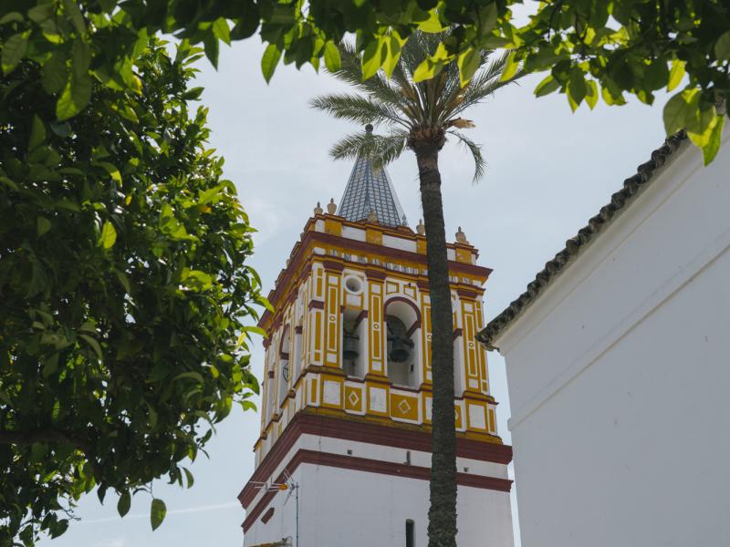 Sanlúcar la Mayor. Campanario iglesia de Santa María entre árboles
