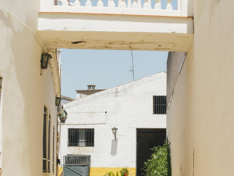 Villanueva del Ariscal. Callejón con casas blancas