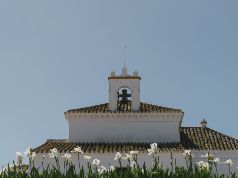 Flores y ermita del Castillo