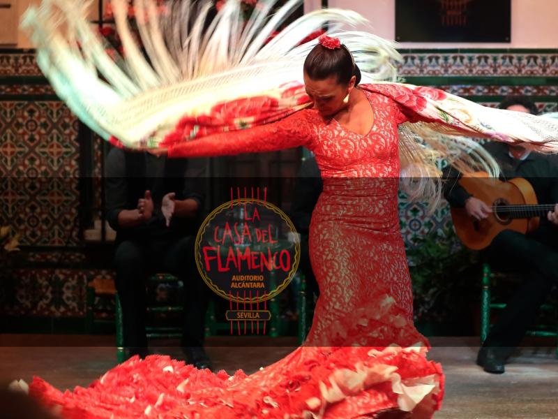 La Casa del Flamenco-Auditorio Alcántara