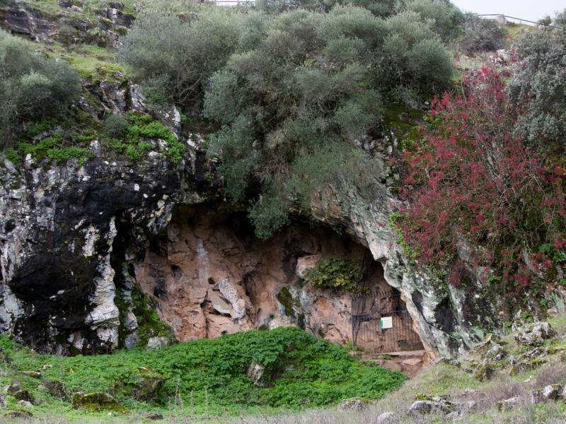 Cueva de los Covachos