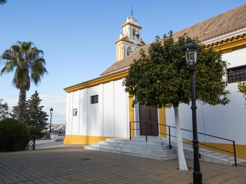Plaza Cardenal Amigo Vallejo
