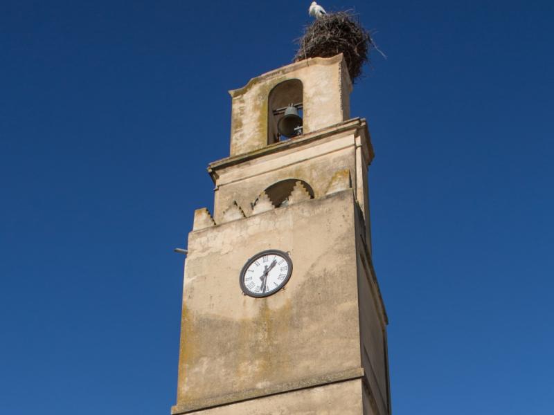 Cantillana. Torre del Reloj con nido de cigüeñas vista desde abajo