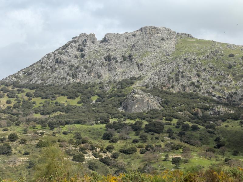Algámitas- Cabaña con El Peñón al fondo