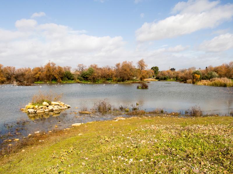 Aula de Naturaleza 'Laguna de Fuente del Rey'