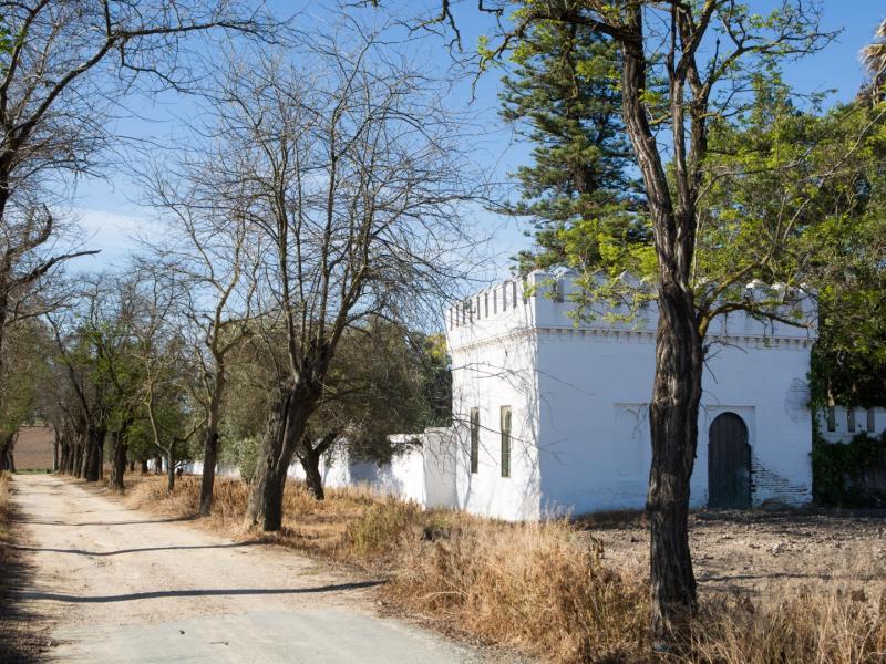 Hacienda Torrijos