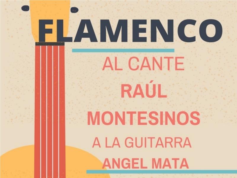 Flamenco: Raúl Montesinos