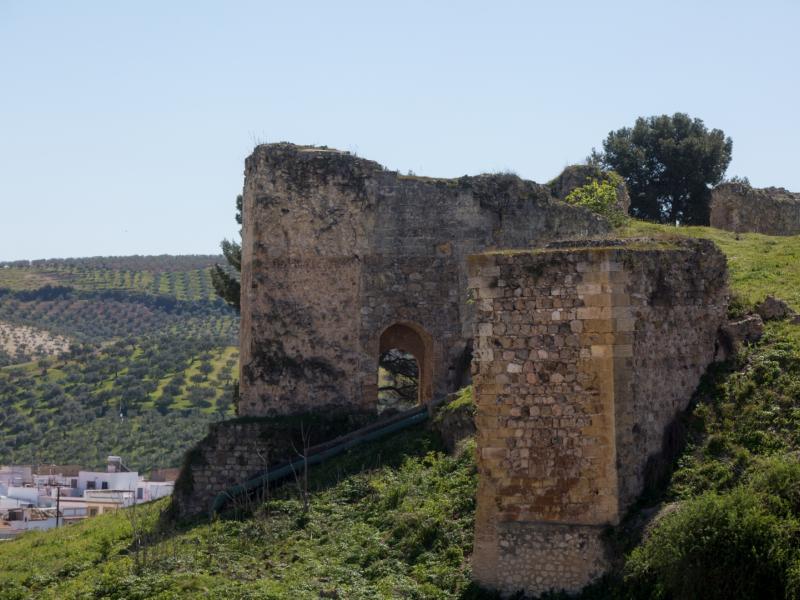 Castillo Árabe Medieval
