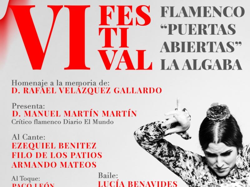 VI Festival Flamenco Puertas Abiertas