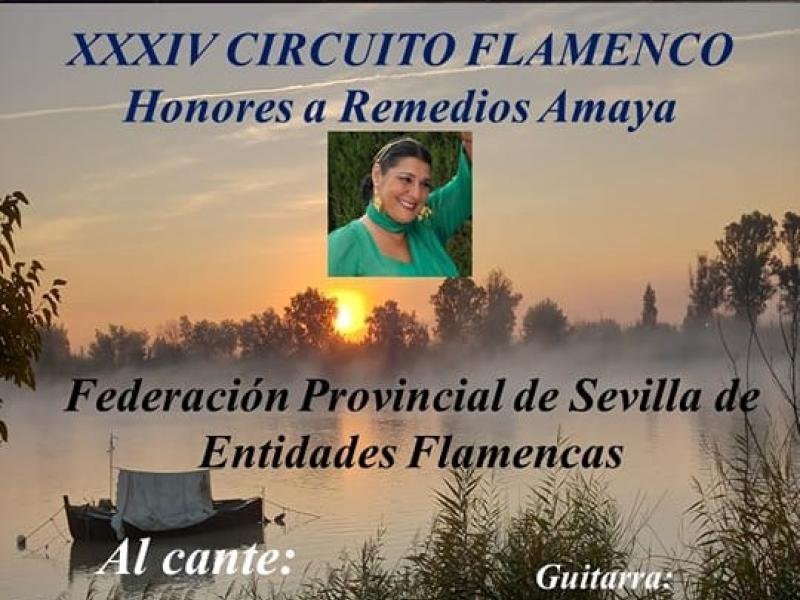 Circuito Flamenco Honores a Remedios Amaya