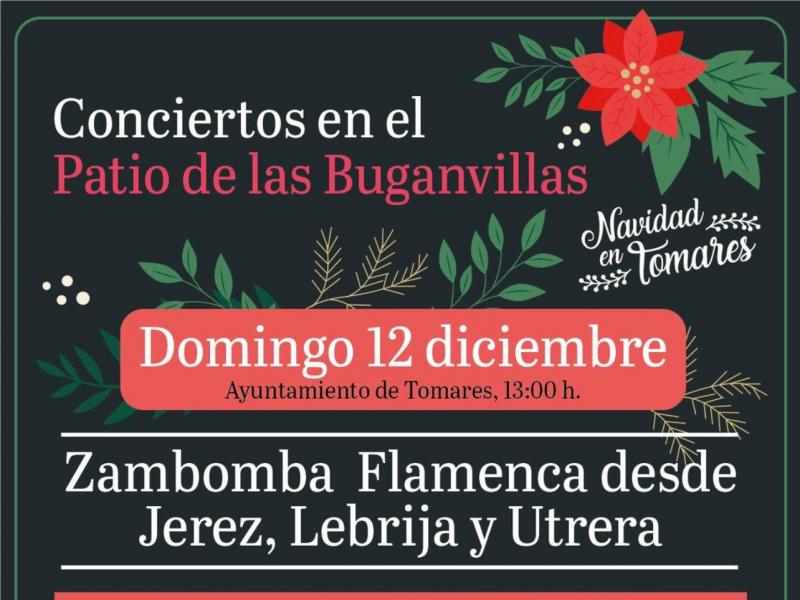 Navidad en Tomares Zambomba Flamenca