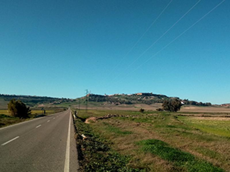 Ruta Cicloturismo: Arahal / Carmona