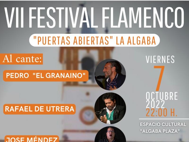 VII Festival Flamenco Puertas Abiertas
