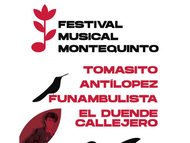 Festival Musical Montequinto