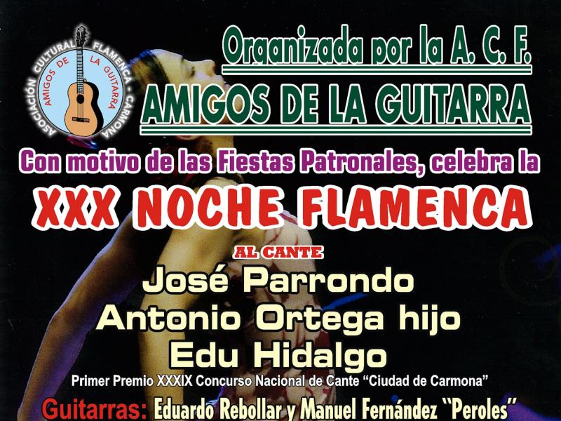 2019 Festival Noche Flamenca