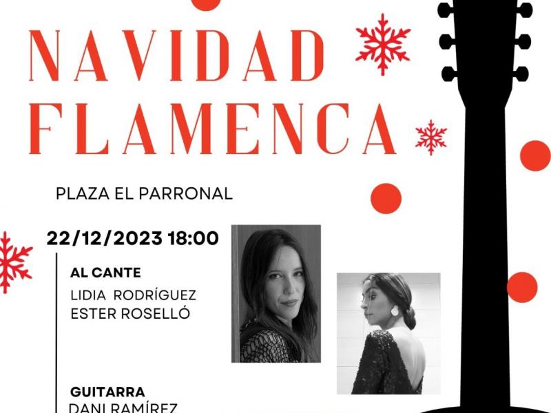 Navidad Flamenca en Paradas