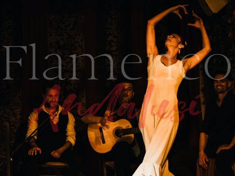Flamenco Andalusí