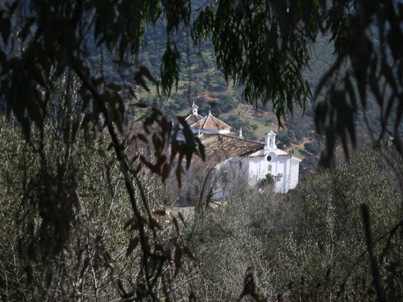 Imagen de la Ermita Nuestra Señora del Monte a lo lejos entre árboles y vegetación