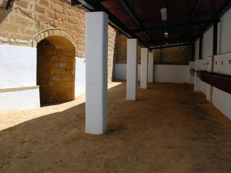 Plaza de Toros de Osuna