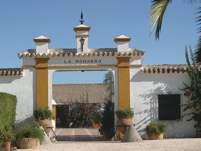 Hacienda La Moharra. Mairena del Alcor