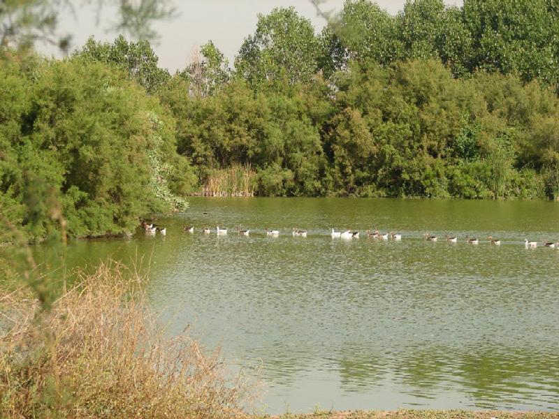 Aula de Naturaleza 'Laguna de Fuente del Rey'