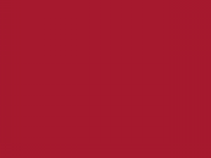 Rojo Corporativo Turismo Pantonce 187C #A6192E