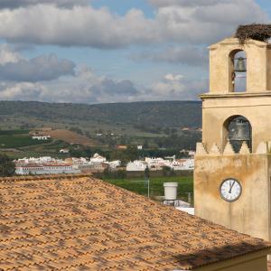 Cantillana. Torre del Reloj con nido de cigüeñas y vista desde los tejados