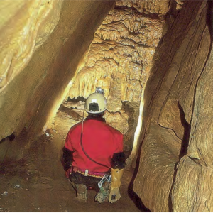 Cueva de la Sima