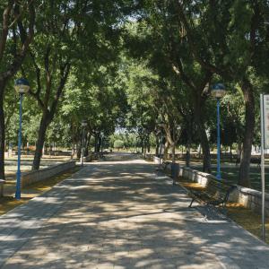 Parque Dehesa Boyal