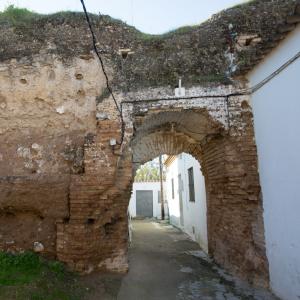 Ruinas del Castillo Medieval