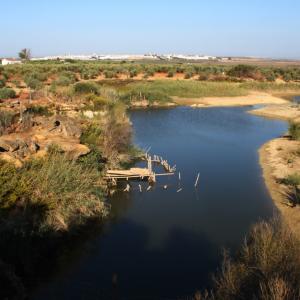 Laguna de las Pedreras