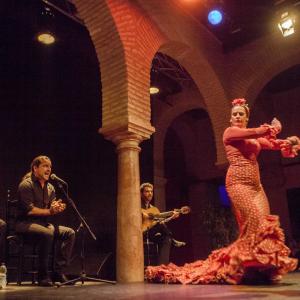 Festival Flamenco de Marinaleda